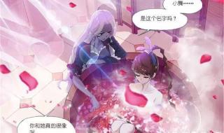 小舞怀孕是哪一集